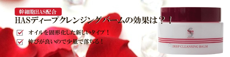 HAS�f�B�[�v�N�����W���O�o�[�����T�C�g